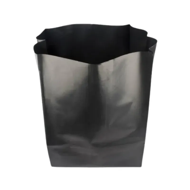 polybag